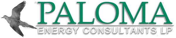 Paloma Energy Consultants