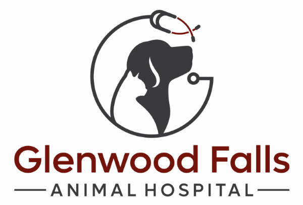 Glenwood Falls Animal Hospital