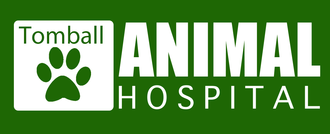 Tomball Animal Hospital