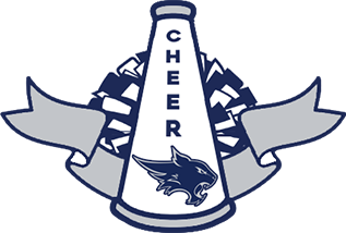Cheer Clinic