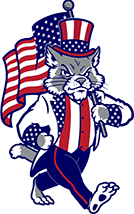 Patriotic Game